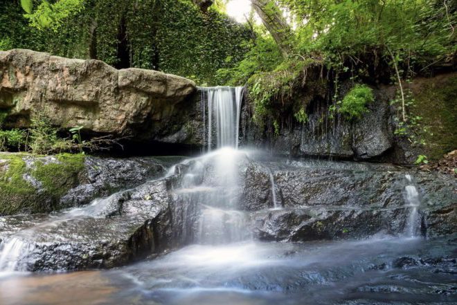 A waterfall in the middle of a forest.