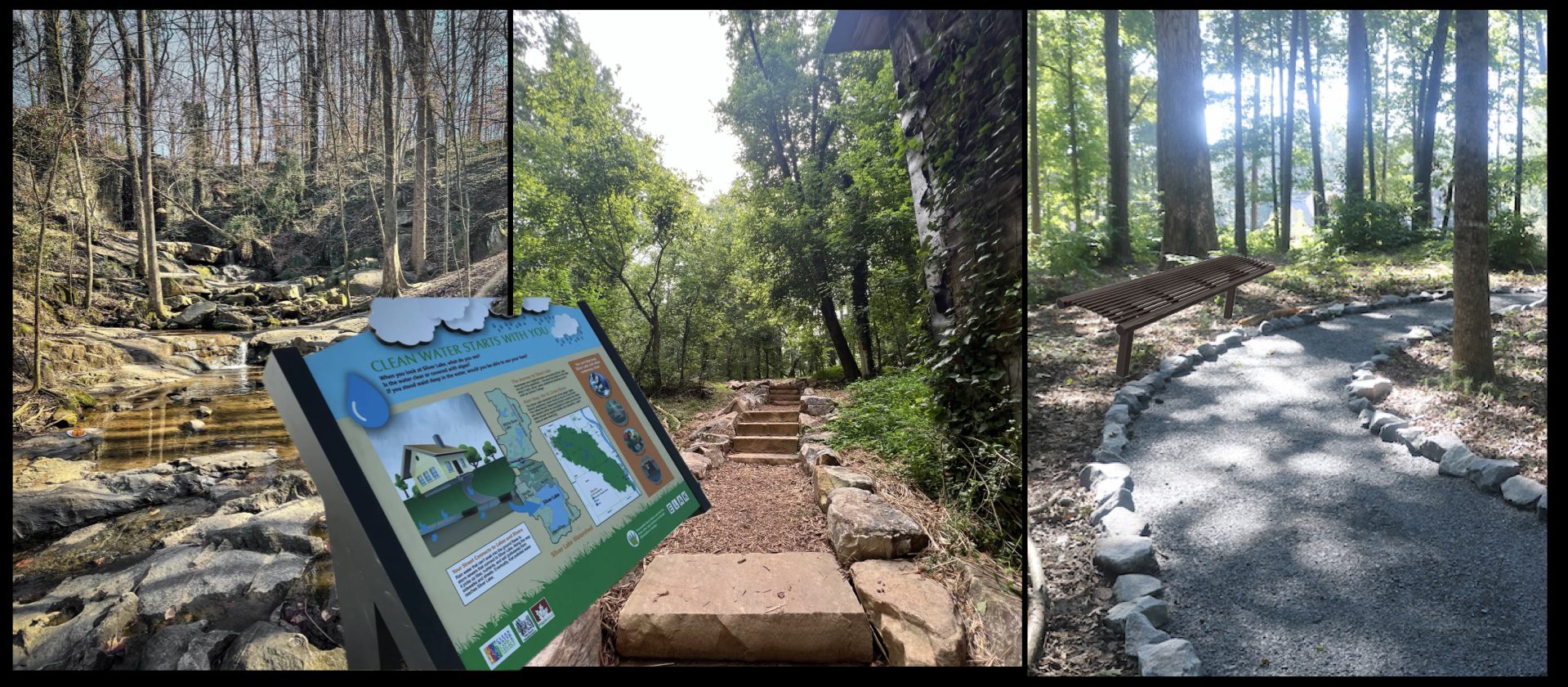 A collage of photos with steps leading to the woods.