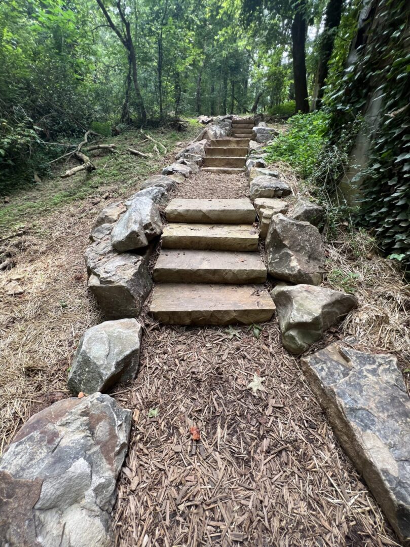 A trail with steps and rocks leading to the top of it.