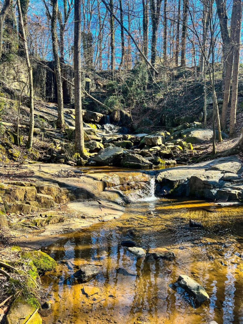 A stream running through the woods near trees.