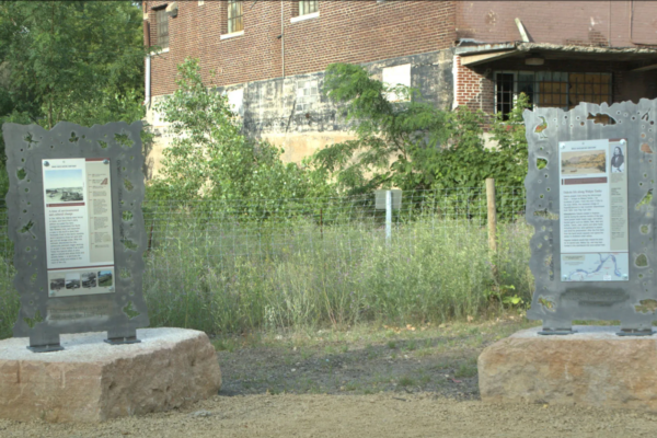 Two statues in the grass near a building.